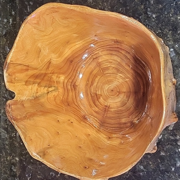 Large Hollow Carved Wood Stump Catchall Bowl Bin 8.5" Wide 5.5" Tall Burl Wood - Picture 2 of 6